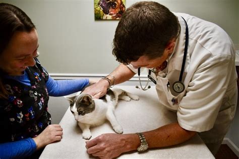 Top-rated Cross Keys Animal Clinic in Florissant, MO for Exceptional Pet Care Services